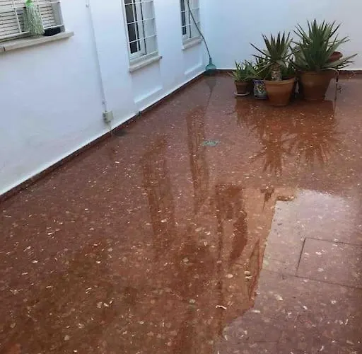 Casa Soleada Calle Tranquila Junto A Fibes Casa vacanze Siviglia
